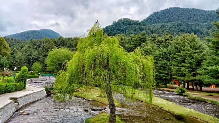 Botanical Garden Kokernag