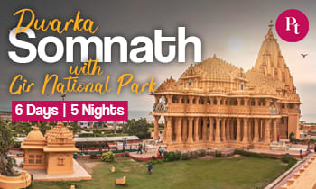 6 Days Dwarka Somnath Tour with Gir