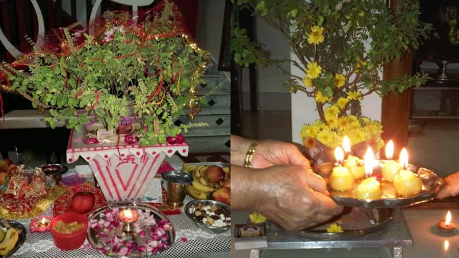 Tulasi Puja